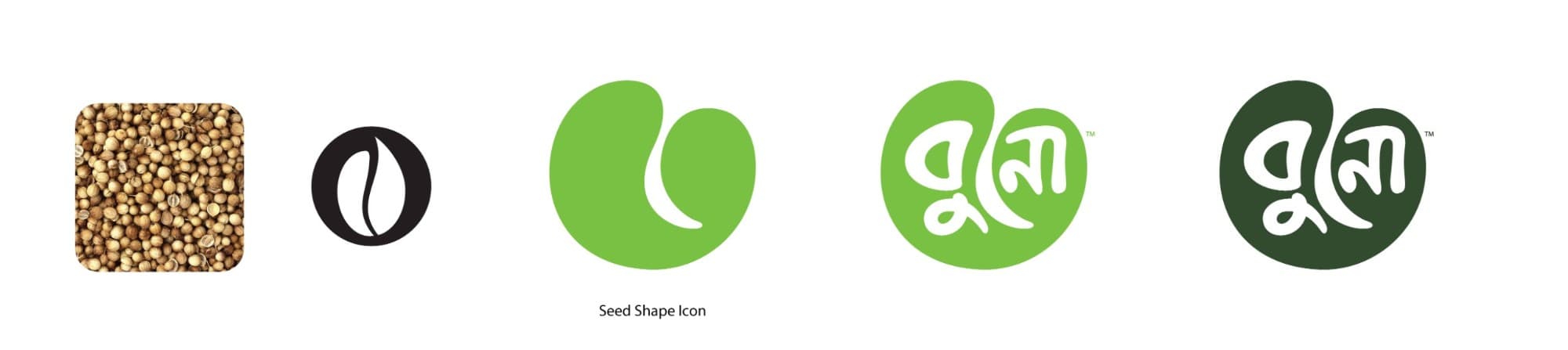 BUNO logo journey — from seed to symbol